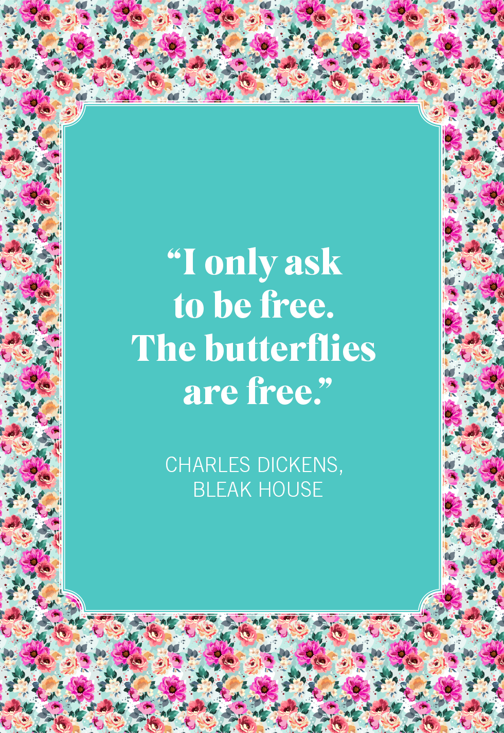 best butterfly quotes