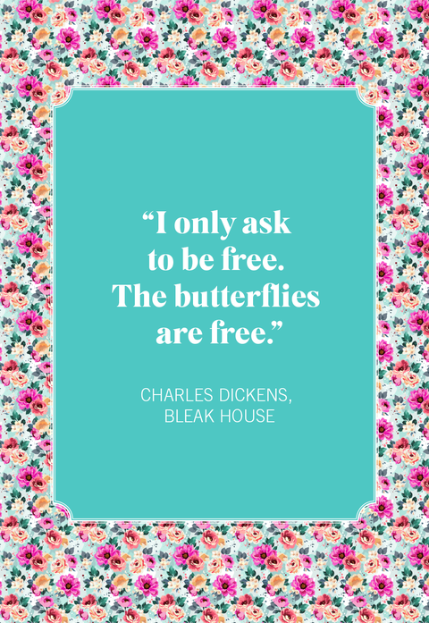 best butterfly quotes