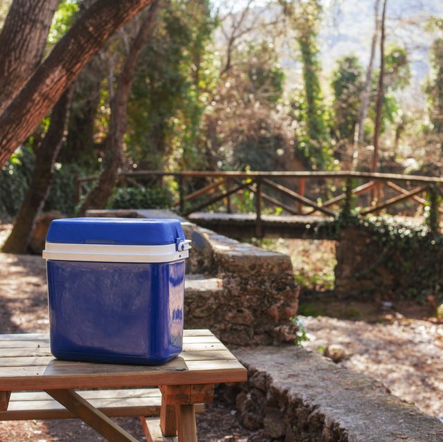 The best coolers for a summer outdoors