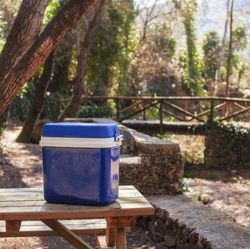 best camping coolers