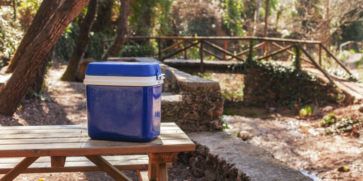best camping coolers
