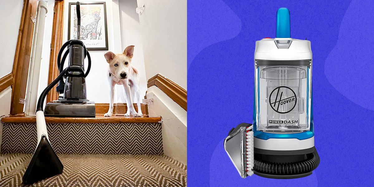 brandons dog next to a carpet cleaner, and a hoover carpet cleaner product