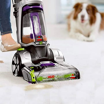 best carpet cleaner for pets