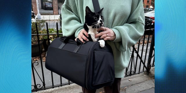 a person wearing a loose, light green sweater and brown pants holds a black pet carrier from away with a black and white cat peeking out, part of a good housekeeping list of the best cat carriers