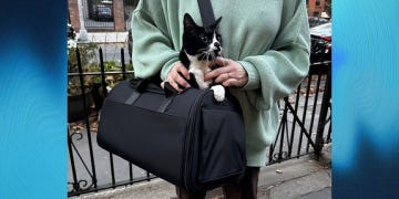 a person wearing a loose, light green sweater and brown pants holds a black pet carrier from away with a black and white cat peeking out, part of a good housekeeping list of the best cat carriers