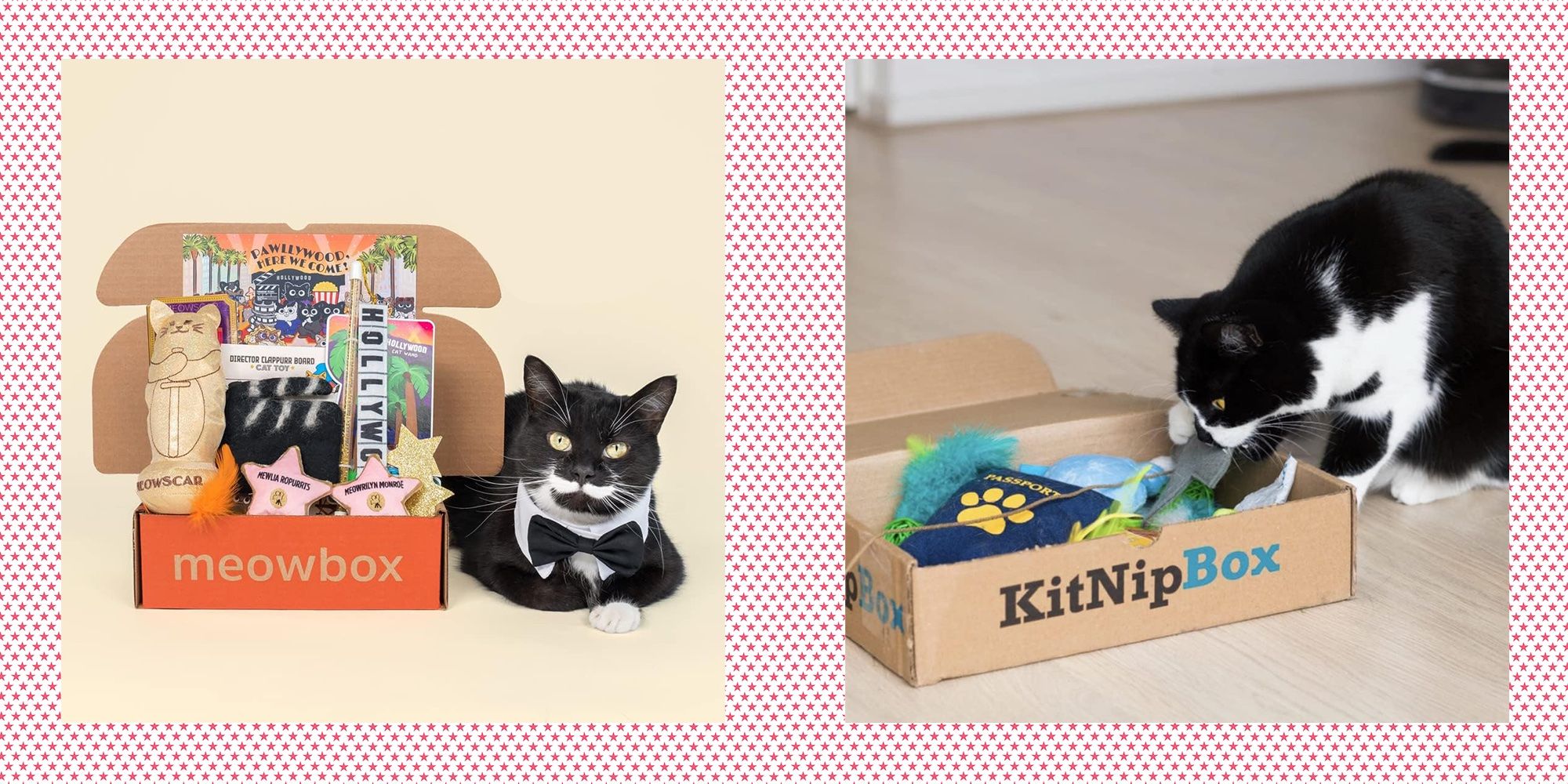 Cat subscription box canada hotsell