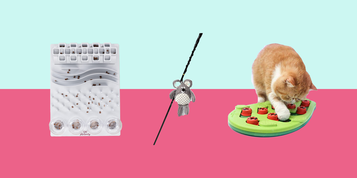 Toys for kittens to play fashion with alone