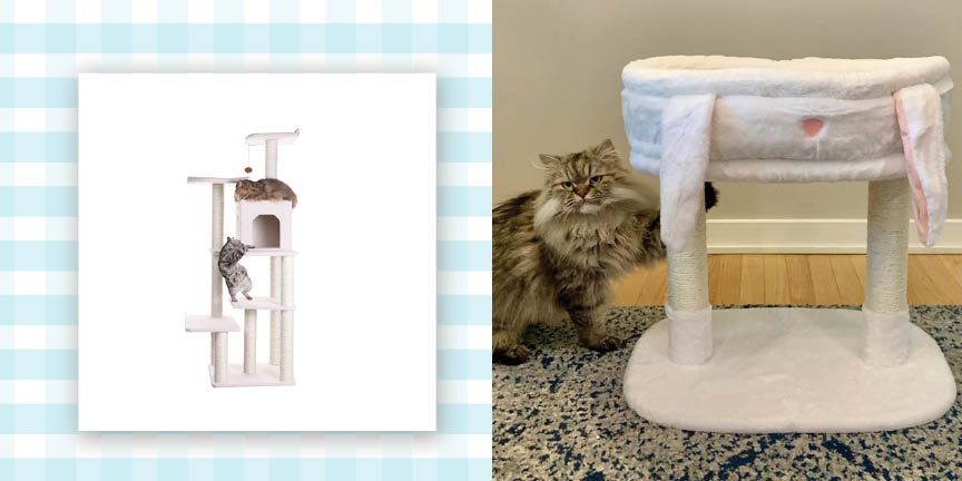 Cat trees for shops large breeds