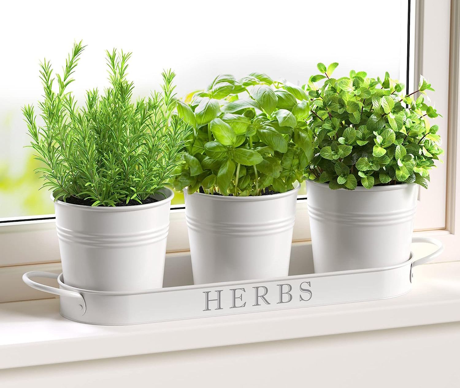 cheap Walmart Plant pots - Petite Modern Life