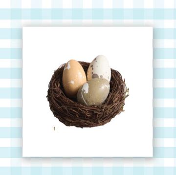chocolate eggs in a nest and dino egg