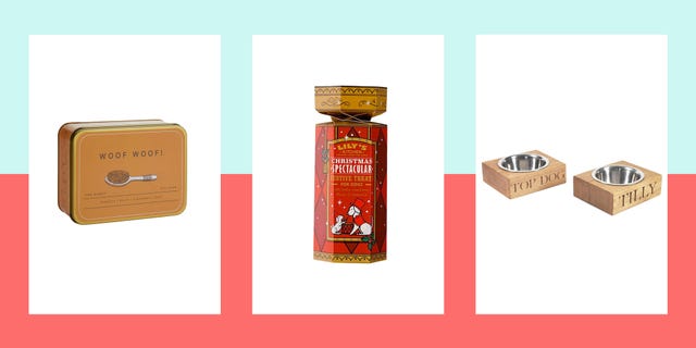 Best Christmas gifts for dogs