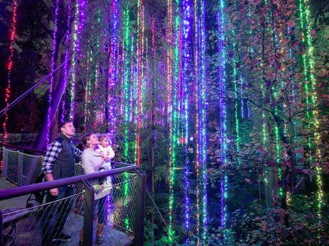 best christmas light displays atlanta botanical garden