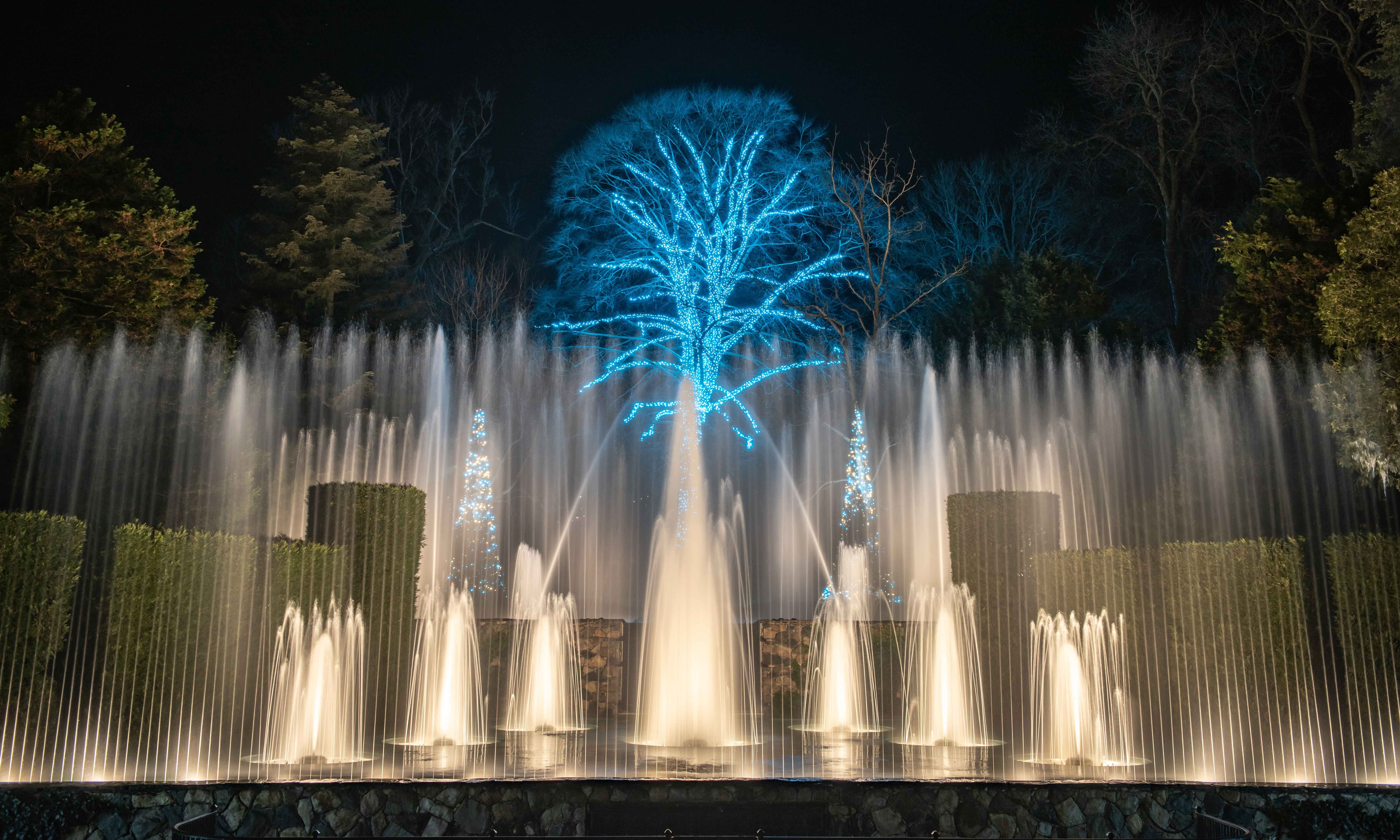 Brilliant Christmas lights illuminate the Sunken Garden at the