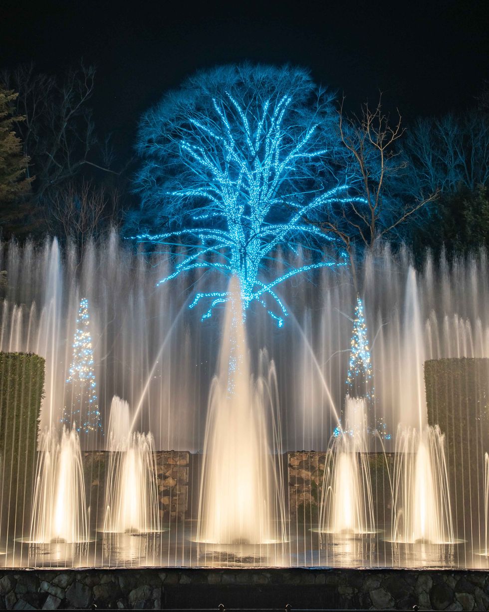 best christmas light displays longwood gardens
