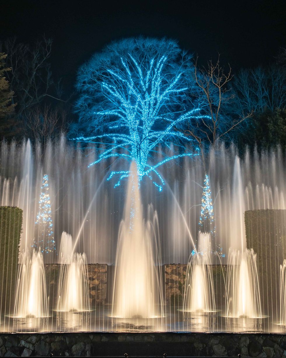 best christmas light displays longwood gardens
