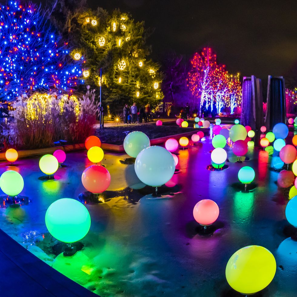 The Best Christmas Light Displays in Every State