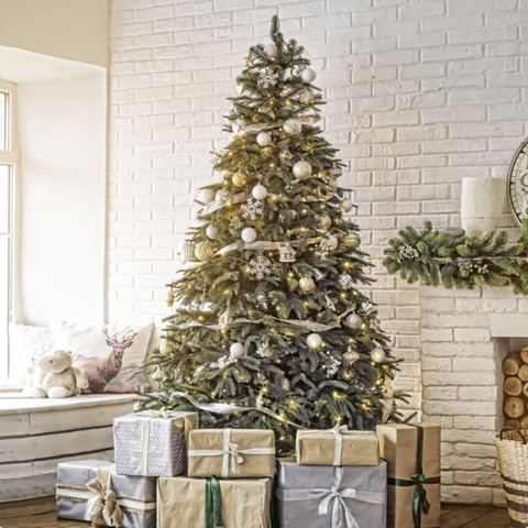 best christmas tree delivery services fast growing trees