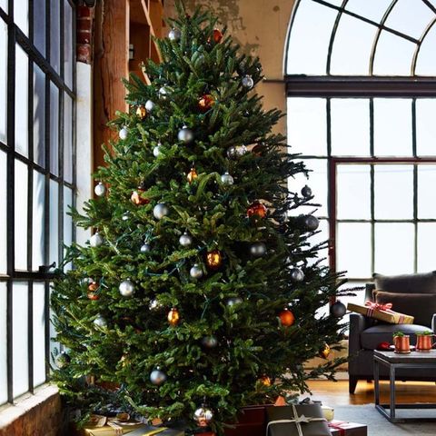 best christmas tree delivery services williams sonoma