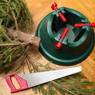 Best Christmas Tree Stand green, natural christmas tree, saw and a plastic stand lie on the parquet floor, indoors trimming excess branches, preparing for the new year