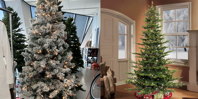 Real christmas trees at walmart sales