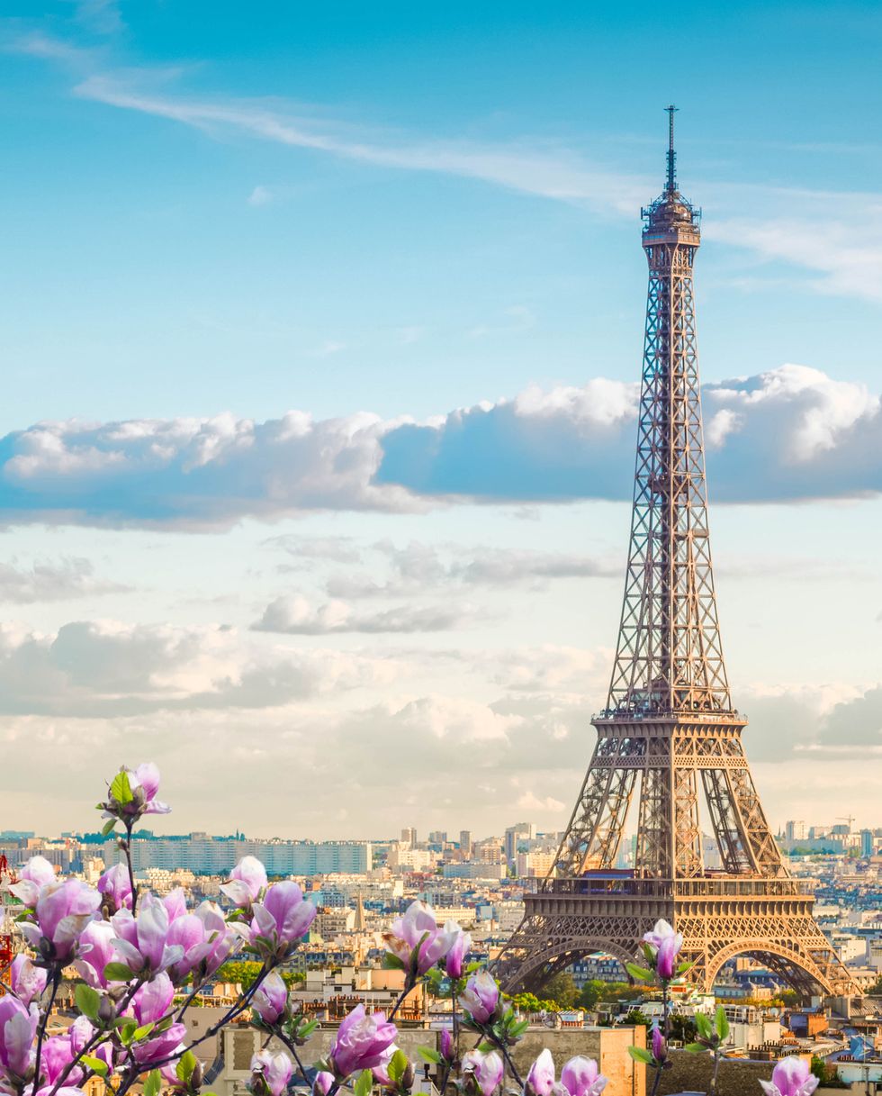famous eiffel tower and paris roofs with spring tree, paris france