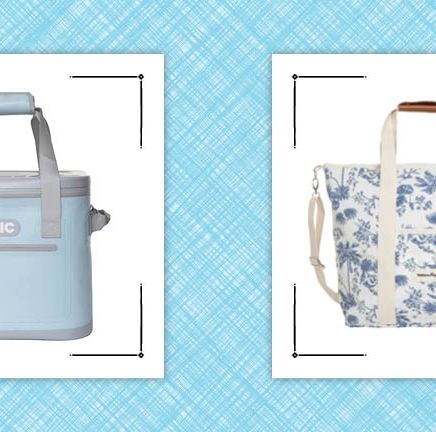 9 Stylish Insulated Cooler Bags for Summer 2023