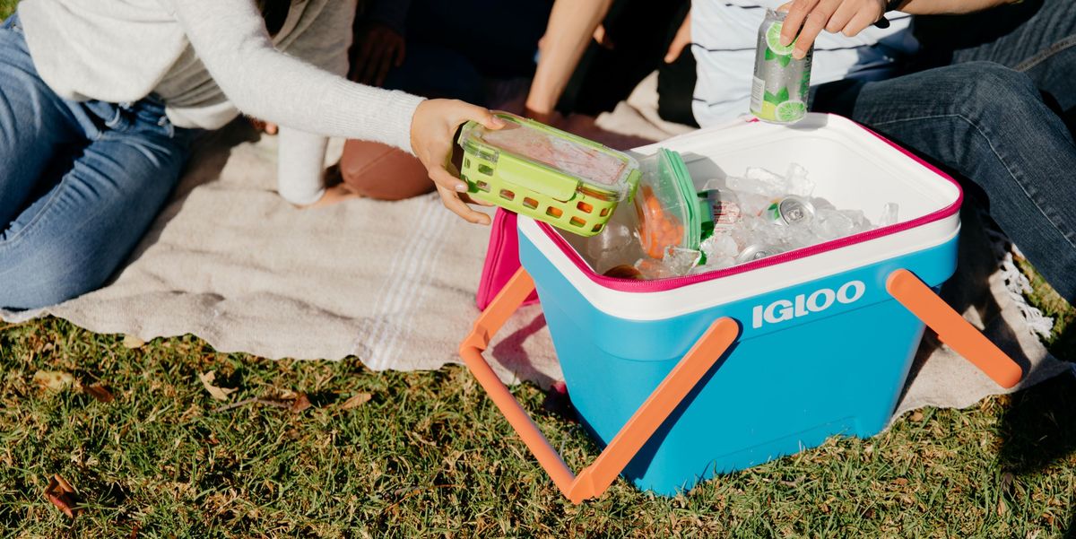 igloo picnic basket cooler in grass