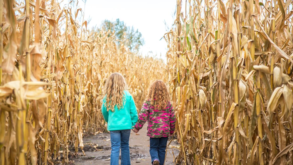 preview for Celebrate Fall With These 12 Activities