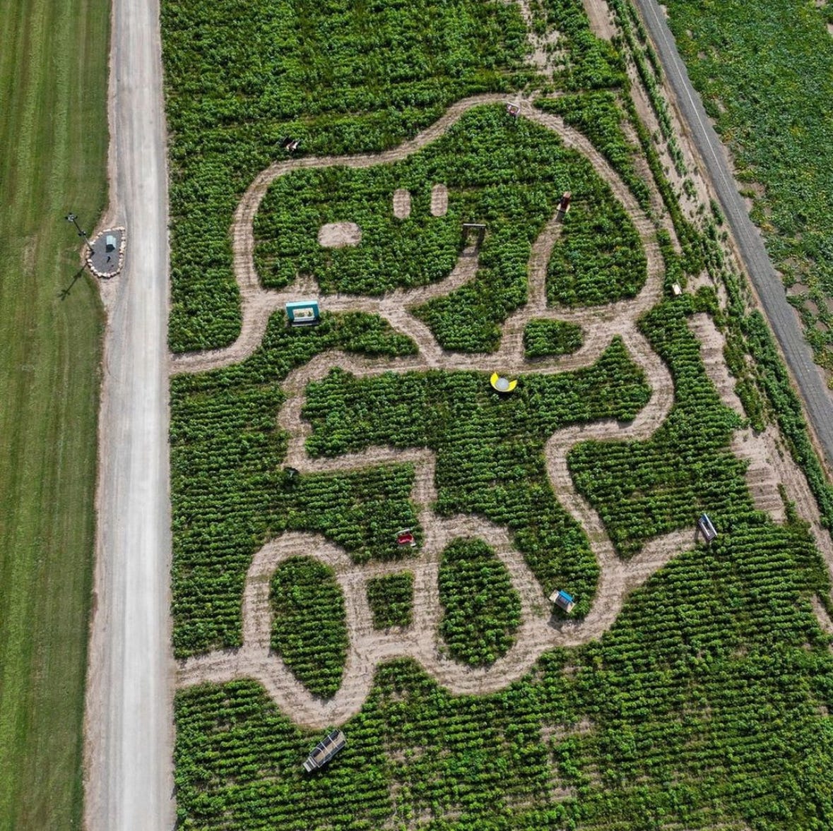 15 Best Corn Mazes to Visit in the U.S. This Fall