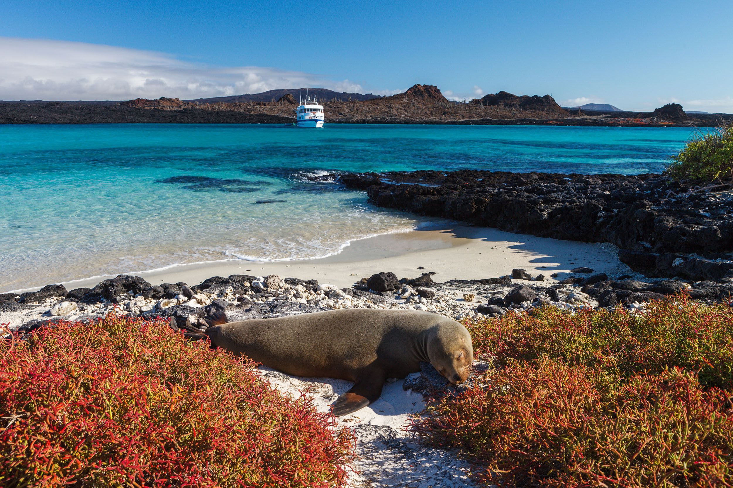 top cruise destinations