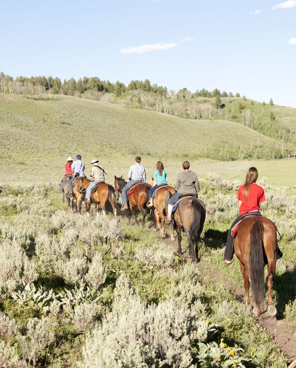 guests take a horseback ride, parade rest ranch, grayling creek, west yellowstone, montana, usa