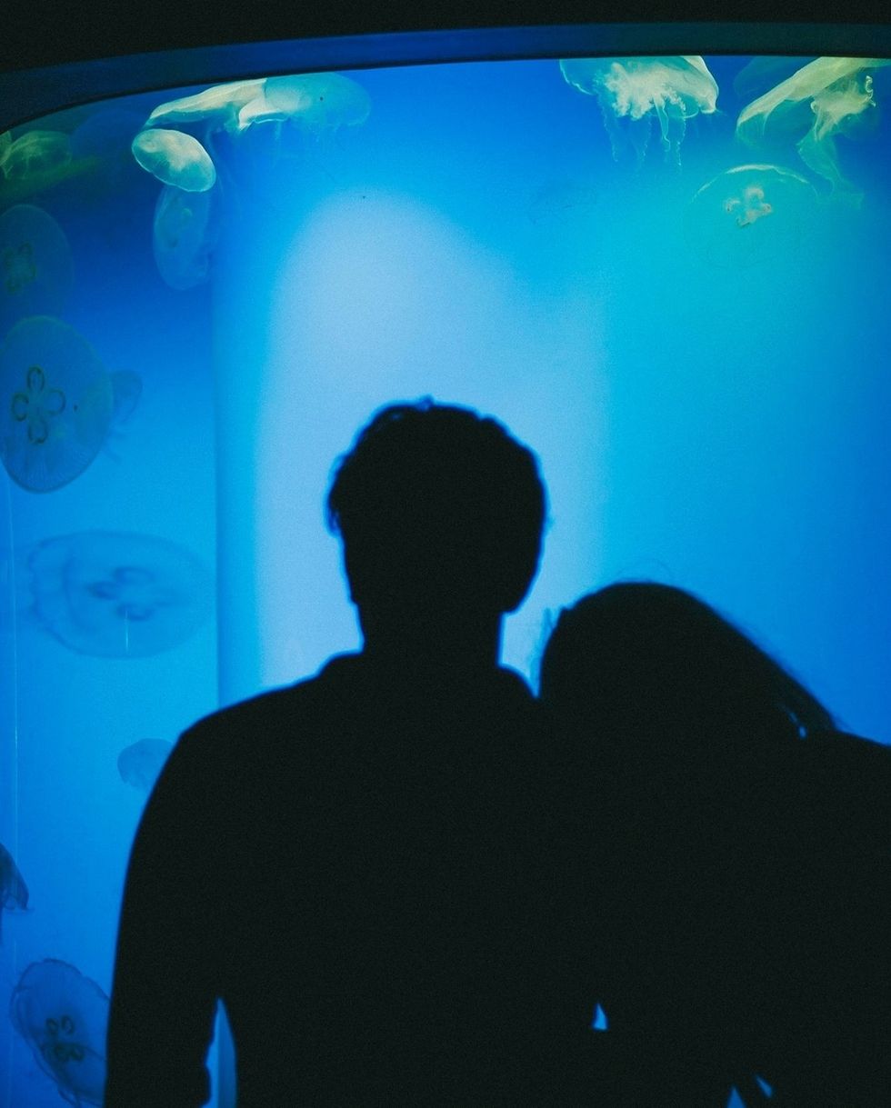 silhouette couple standing by aquarium