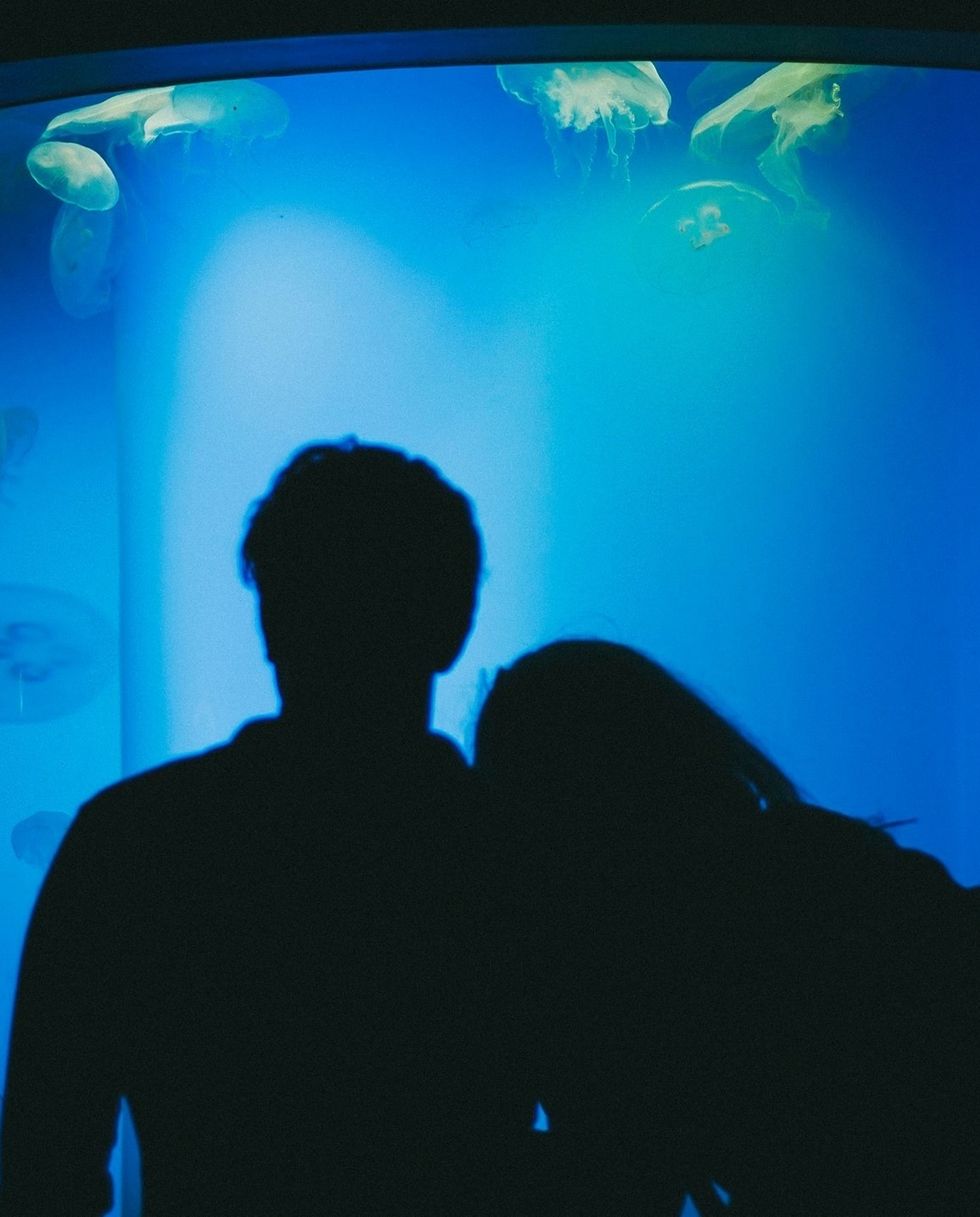 date night ideas with silhouette couple standing by aquarium