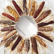 diy fall wreath idea crafted from flint corn cobs and husks