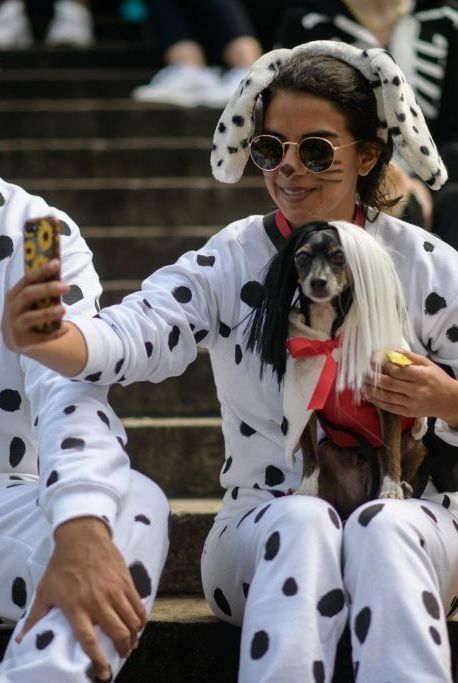 Dalmatian costume for dog best sale