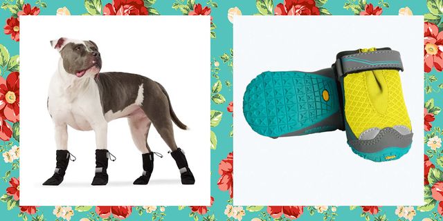 Winter Dog Socks For Small Medium Large Senior Dogs