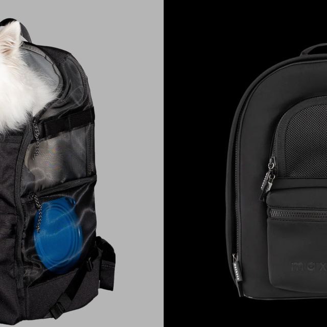 The 8 Best Dog Backpack Carriers of 2024, Tested and Reviewed