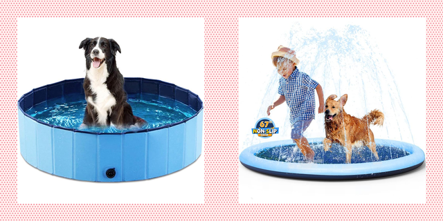 9 Best Dog Swimming Pools for Large and Small Dogs 2024