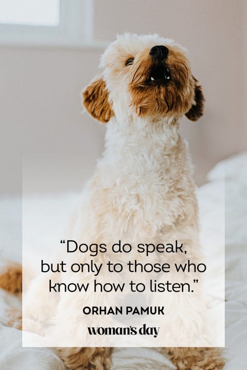 37 Best Dog Quotes - Inspirational & Funny Sayings About Dogs 37 Best Dog Quotes - Inspirational & Funny Sayings About Dogs