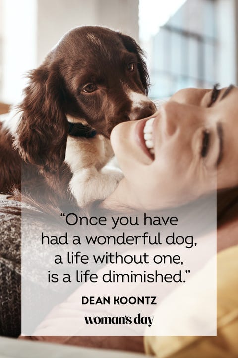 37 Best Dog Quotes - Inspirational & Funny Sayings About Dogs 37 Best Dog Quotes - Inspirational & Funny Sayings About Dogs