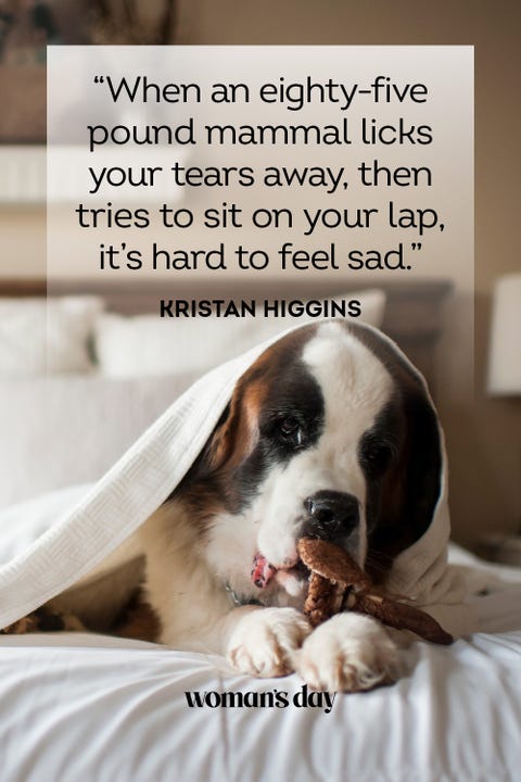 37 Best Dog Quotes - Inspirational & Funny Sayings About Dogs 37 Best Dog Quotes - Inspirational & Funny Sayings About Dogs