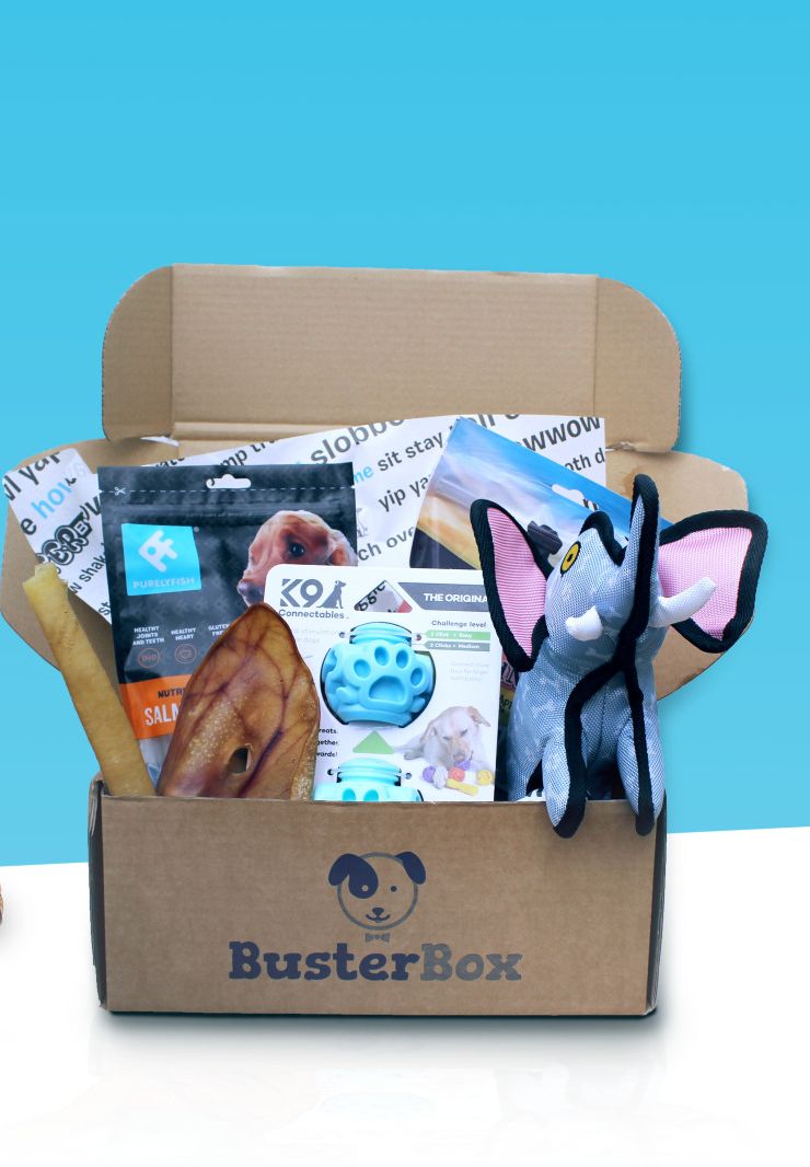 10 Of The Best Dog Subscription Bo