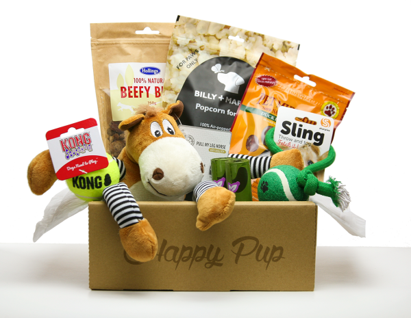 Dog gift box subscription new arrivals