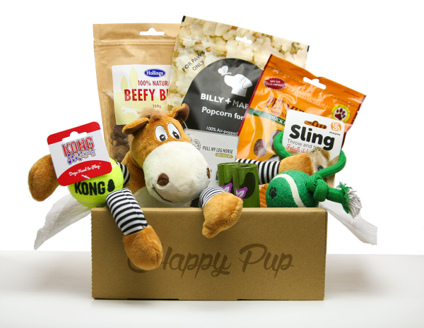Round-up of the best dog subscription boxes to buy