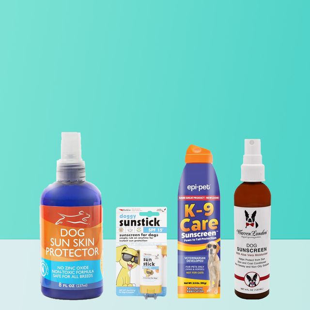 The 6 Best Dog Sunscreens of 2023  