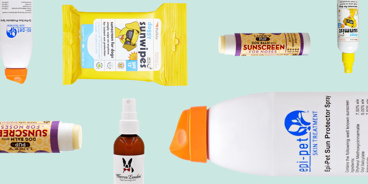 Baby sunscreen for outlet dogs