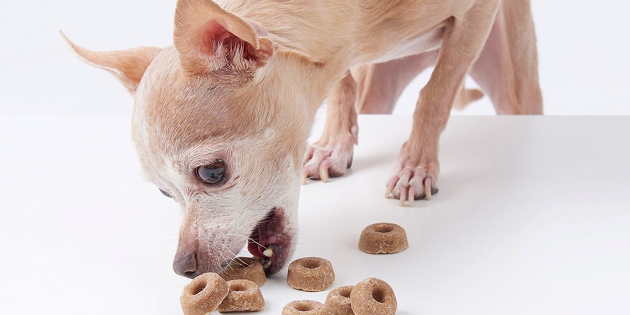 29 Best Dog Treats for 2019 Healthy Treats for Training Puppies