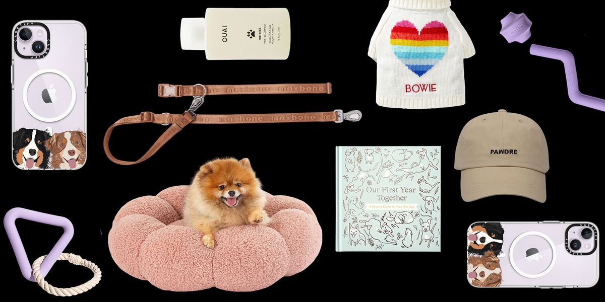 55 Best Dog Gifts Of 2023 - Best Gifts For Dog Lovers And Their Pups