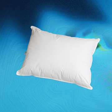 best down pillows best down pillows