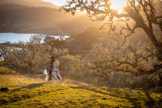 a man and a dog walking on a trail in a forest